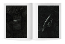 Charger l&#39;image dans la galerie, N°22 : 1990, L&#39;ÂGE D&#39;OR DU JAPON ?