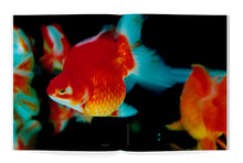 Charger l'image dans la galerie, N°24 : OBJETS POPULAIRES